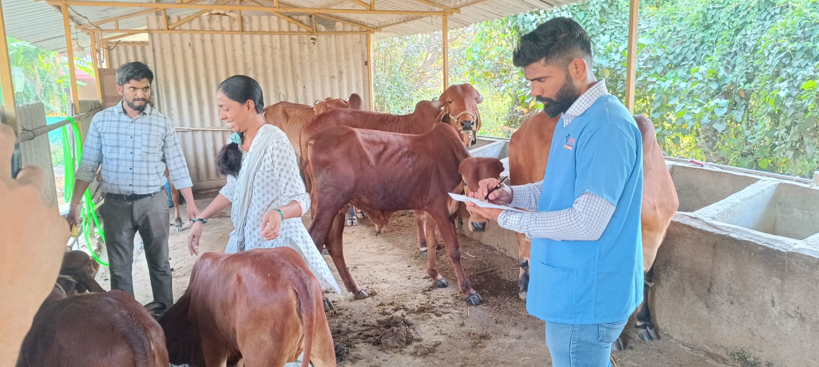 Observations On Parasitic Problems In Gir Cows